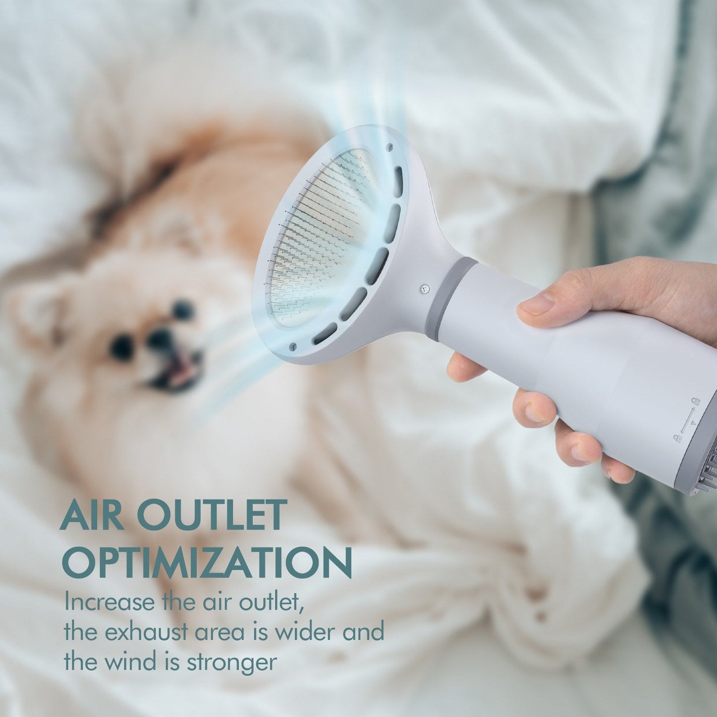 2-in-1 Grooming Hair Dryer Brush