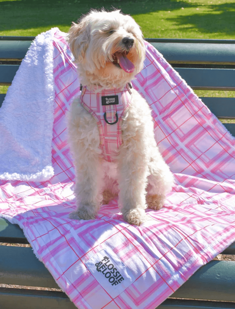 Oxford Blush Sherpa Blanket