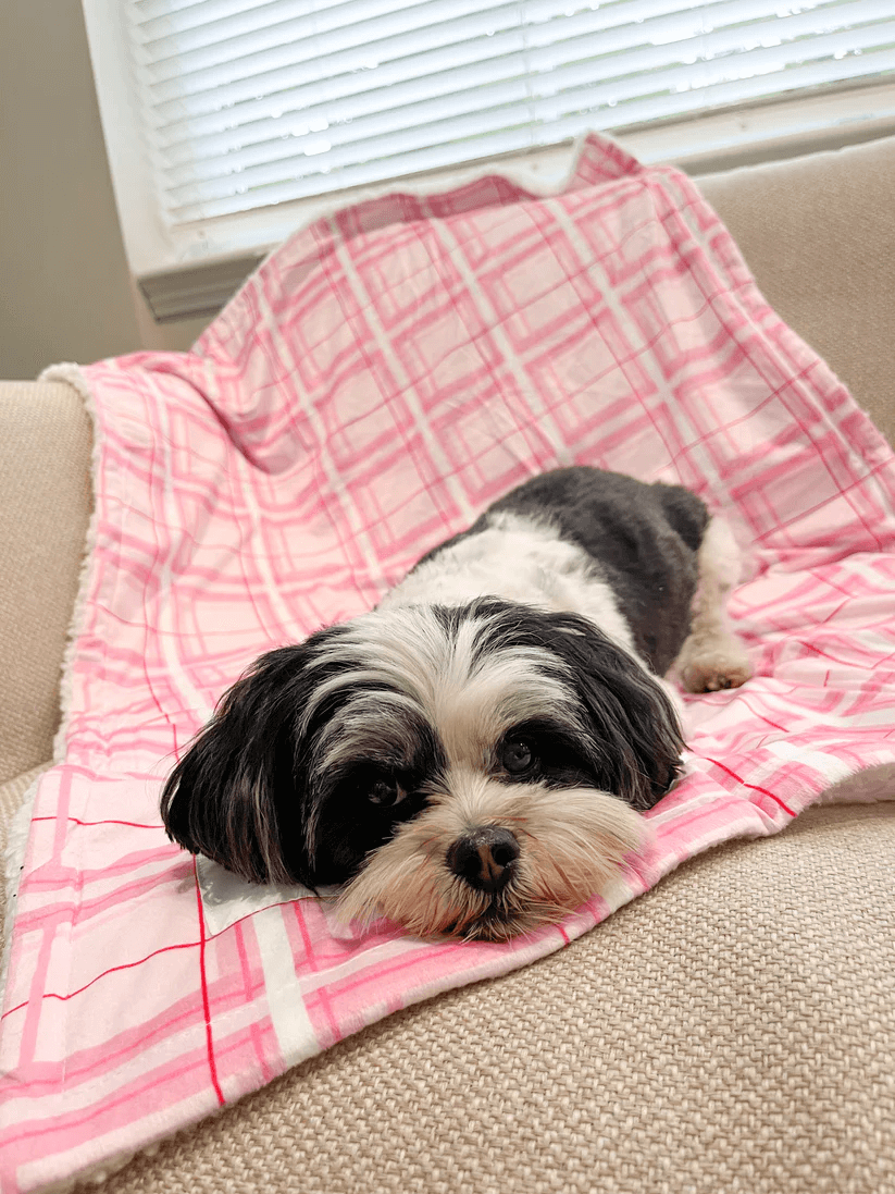 Oxford Blush Sherpa Blanket