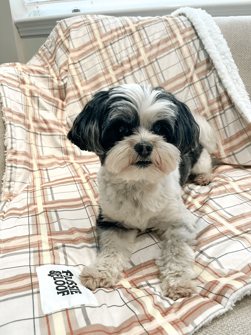 Oxford "Sand" Dog Blanket – by Flossie & Floof