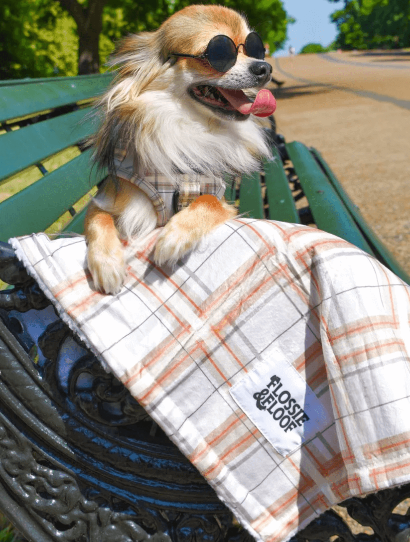 Oxford Sand Sherpa Blanket