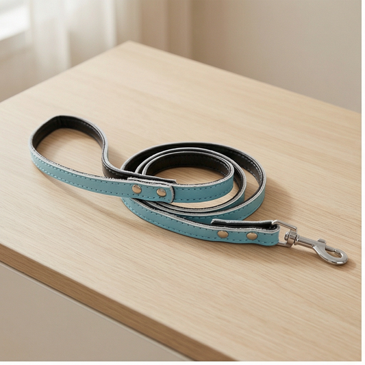 Aqua Dog Lead