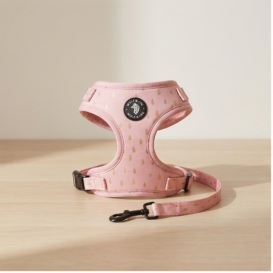 Accalia Adjustable Dog Harness