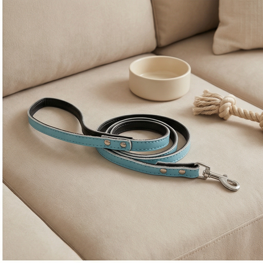 Aqua Dog Lead