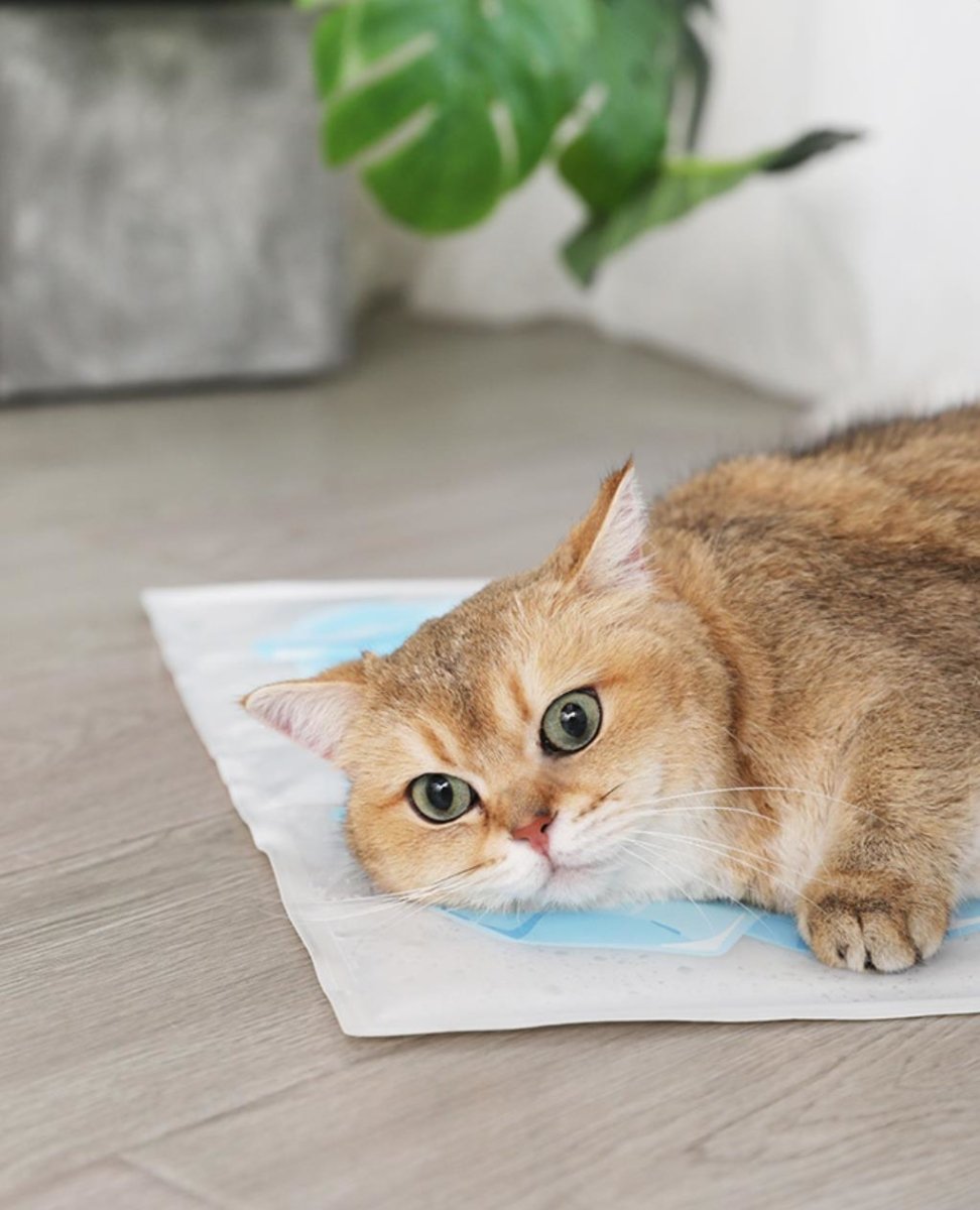 Summer Cooling Gel Mat